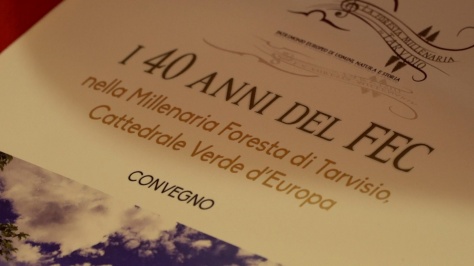 Eventi: Fedriga, foresta Tarvisio è valore da gestire insieme comunità