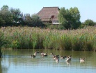 fotogramma del video Le Riserve Naturali di Valle Canal-Novo e delle Foci dello ...